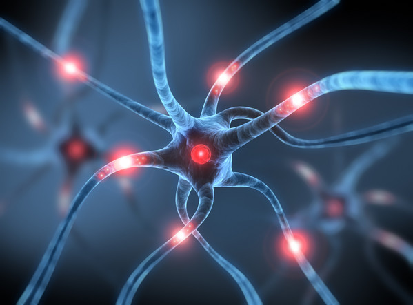 Fotolia_31226667_M_Neurologie.jpg Neuronen